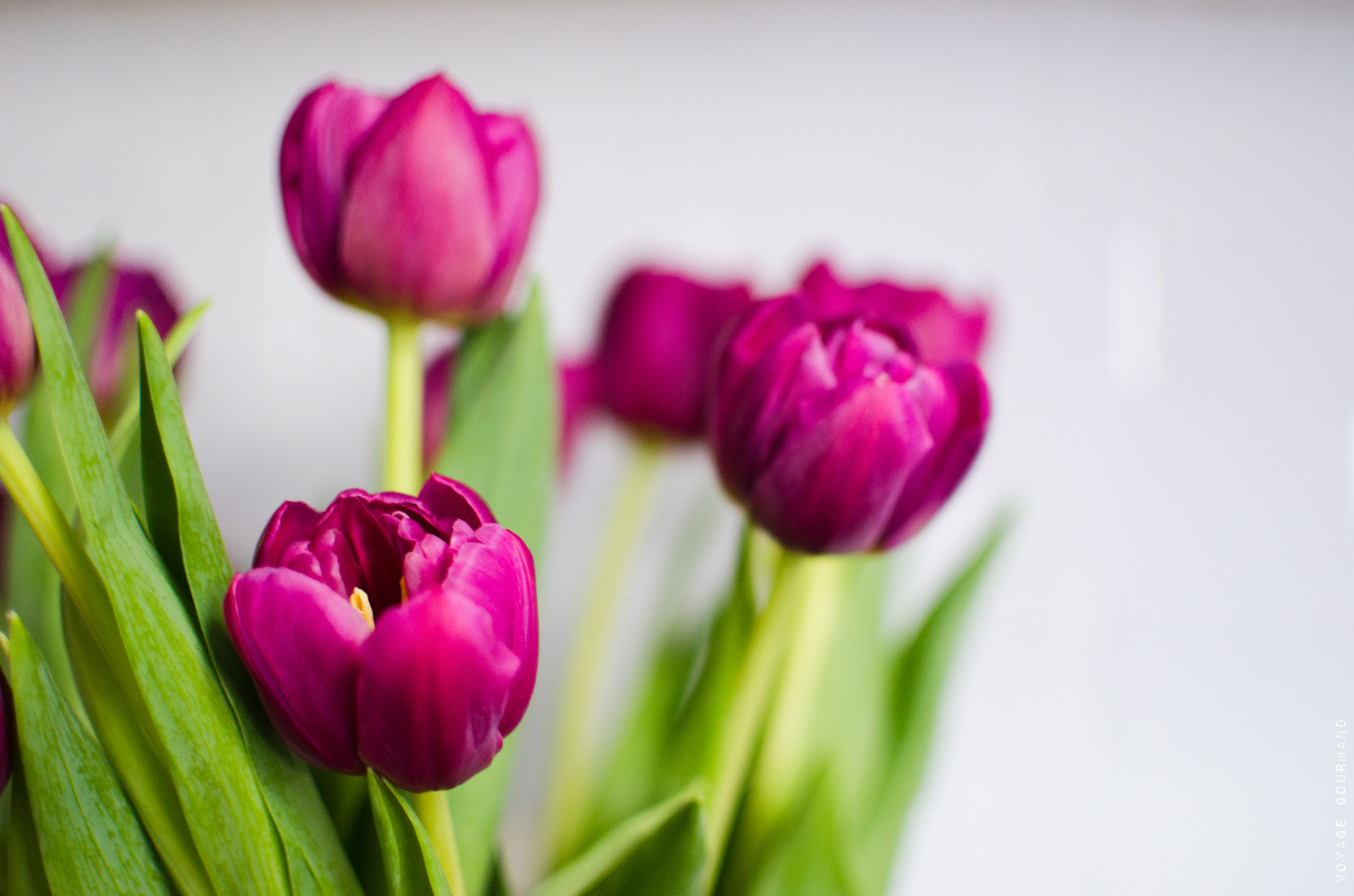 adhesif pour carrelage