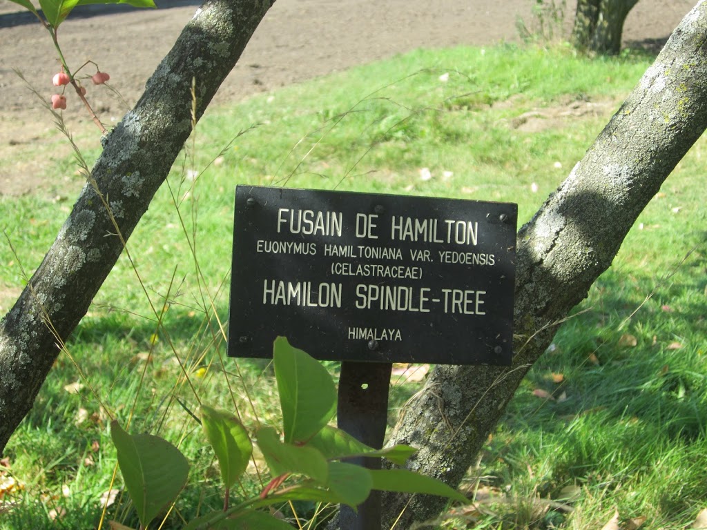 carrelage pas chere belgique