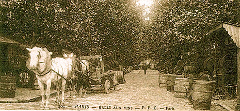 carrelage petit carreau ancien