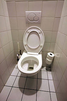carrelage pour toilette