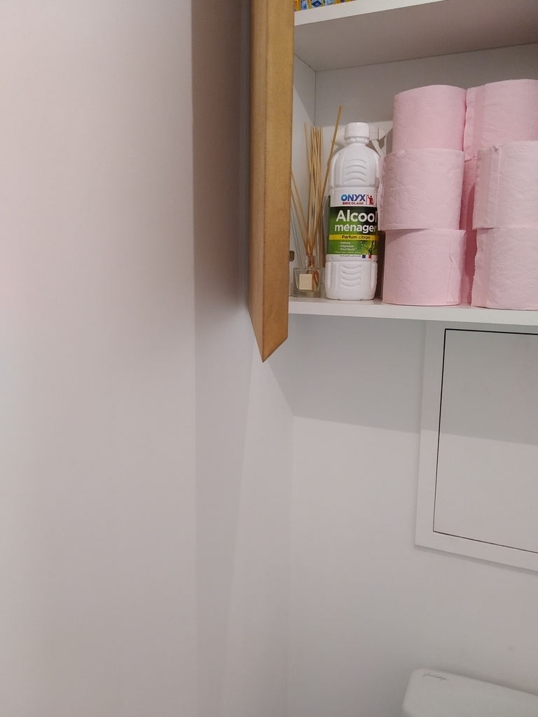 deco carrelage wc suspendu