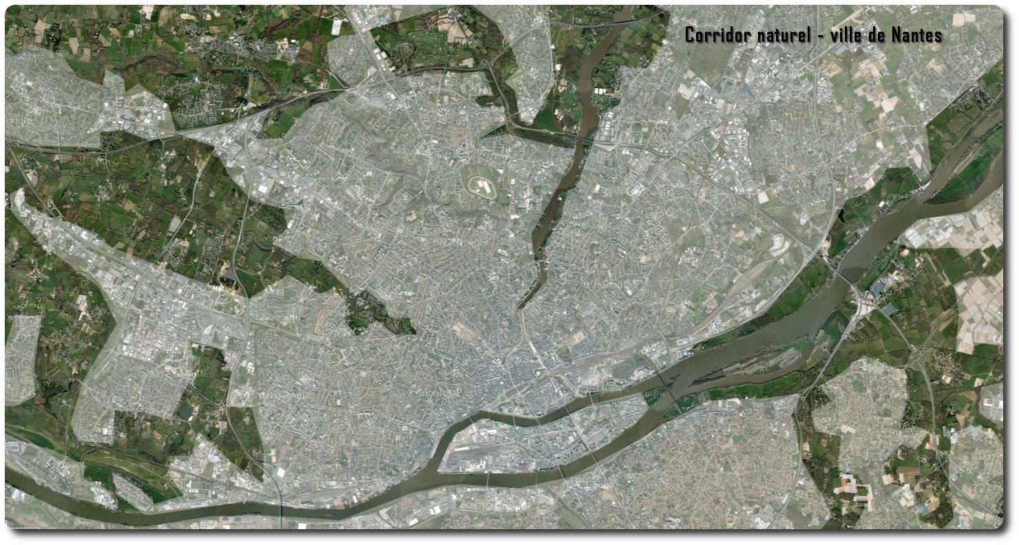 mettre du carrelage sketchup